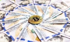 如何高效观察TP钱包中的资