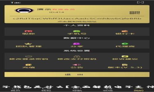 虚拟电子钱包是什么？全面解析电子支付的未来