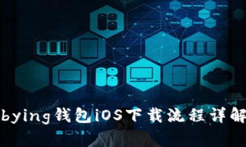 bying钱包iOS下载流程详解