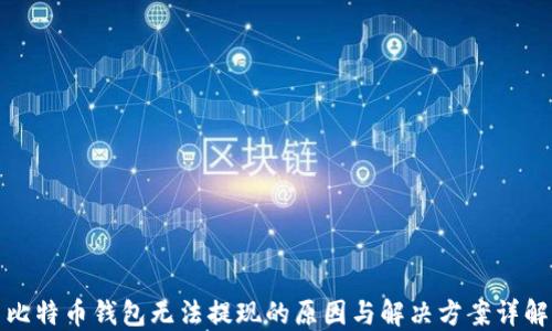 
比特币钱包无法提现的原因与解决方案详解