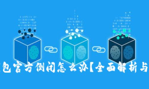 比特币钱包官方倒闭怎么办？全面解析与应对策略