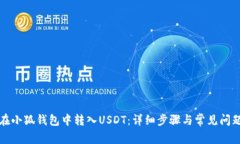 如何在小狐钱包中转入USDT：详细步骤与常见问题