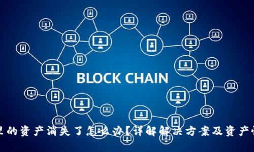 TP钱包里的资产消失了怎么办？详解解决方案及资产恢复方法