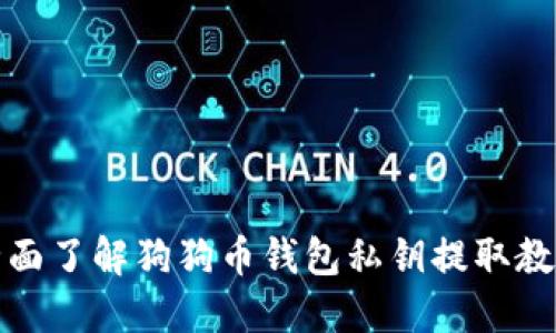 全面了解狗狗币钱包私钥提取教程