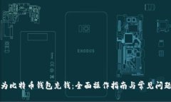 如何为比特币钱包充钱：全面操作指南与常见问