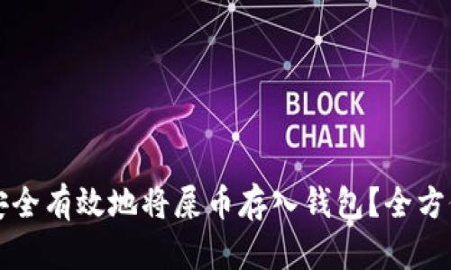 如何安全有效地将屎币存入钱包？全方位指南