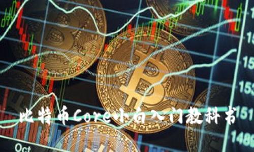 比特币Core小白入门教科书